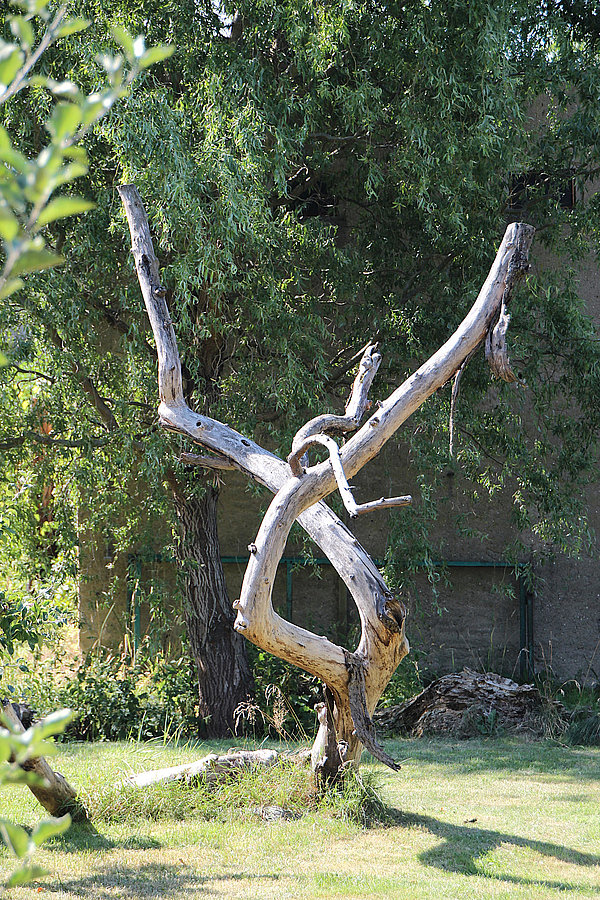 Inga Carrière vermittelte in ihrer Ausstellung Techniken